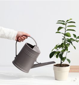 Long Nozzle Watering Can With Sprinkler Head (Color: Gray)